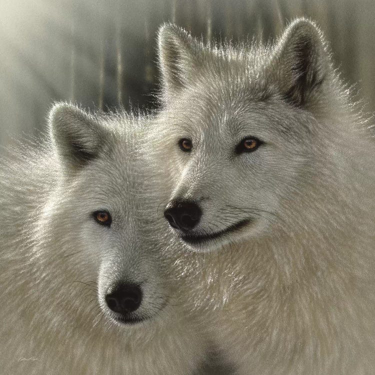 Wolves - Sunlit Soulmates by Collin Bogle wall art