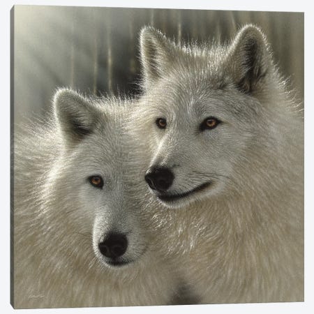 Wolves - Sunlit Soulmates Canvas Print #CBO130} by Collin Bogle Canvas Art Print