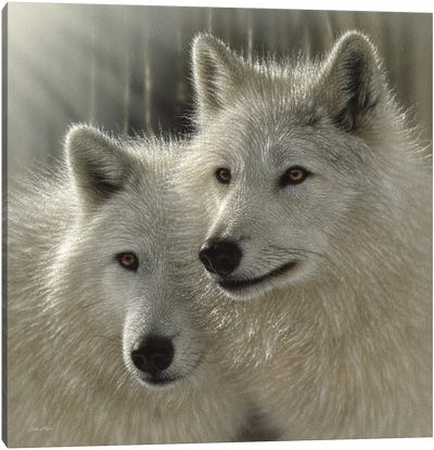 Wolves - Sunlit Soulmates Canvas Art Print - Photorealism Art
