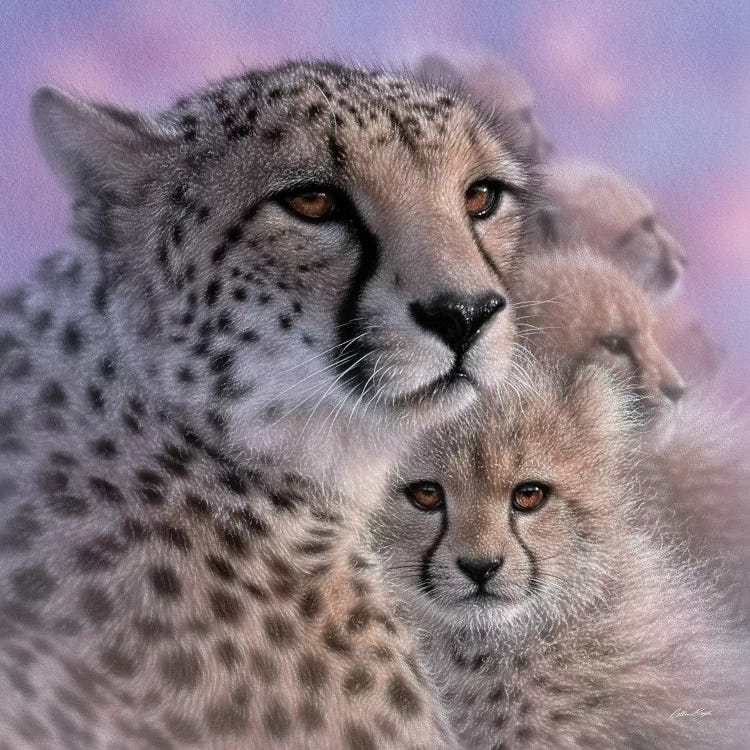 Cheetah Mother's Love