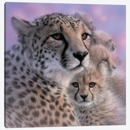 Cheetah Mother's Love Canvas Print #CBO132} by Collin Bogle Canvas Print