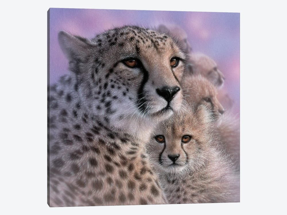 Cheetah Mother's Love by Collin Bogle 1-piece Canvas Artwork
