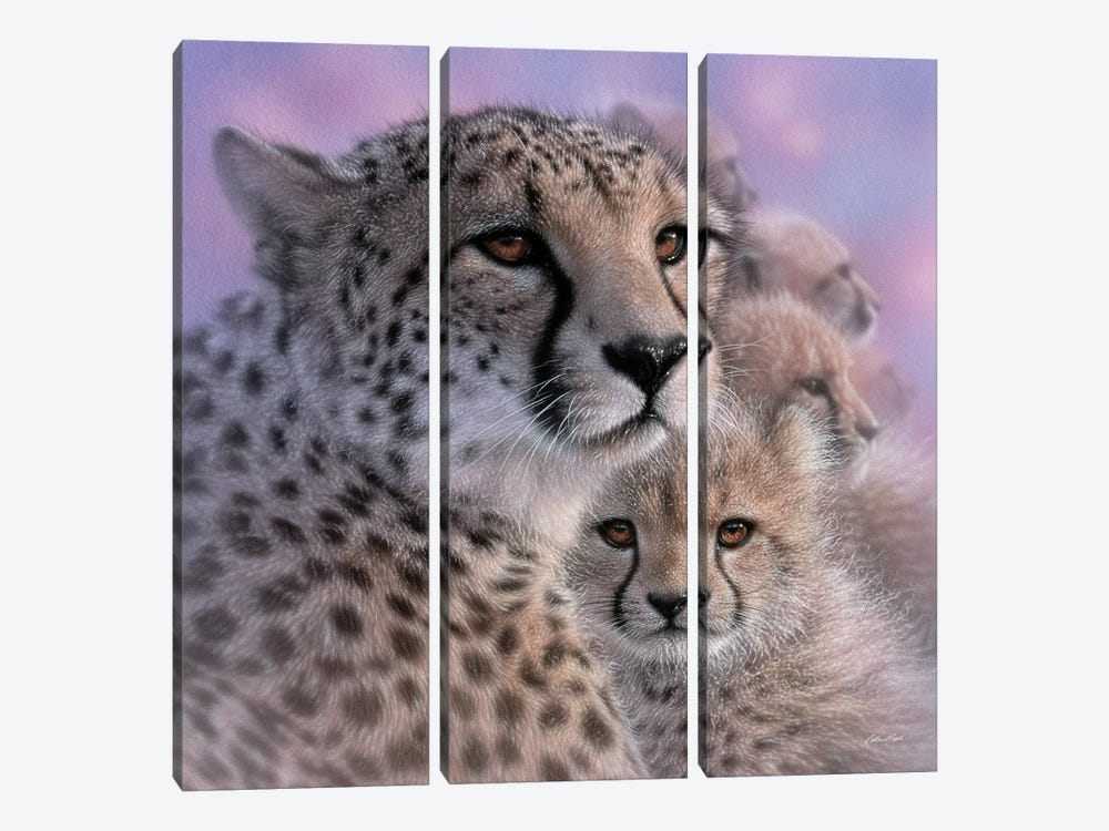 Cheetah Mother's Love by Collin Bogle 3-piece Canvas Wall Art
