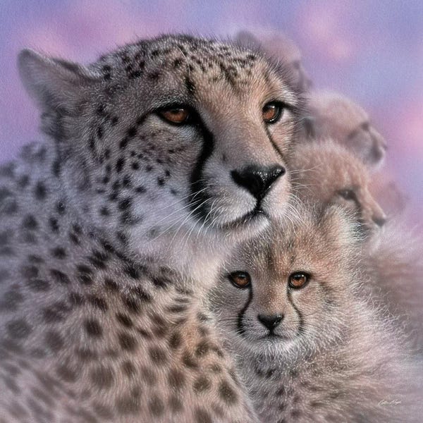 Collin Bogle: Cheetah Mother's Love by Collin Bogle