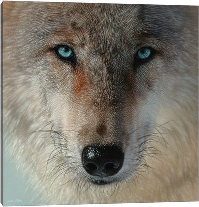 Inner Wolf Pack, Square Canvas Art Print - Wolf Art