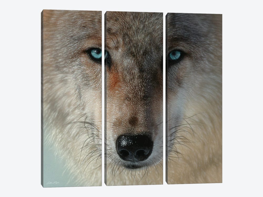 Inner Wolf Pack, Square by Collin Bogle 3-piece Canvas Print
