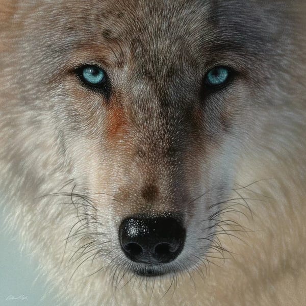 Collin Bogle: Inner Wolf Pack, Square by Collin Bogle