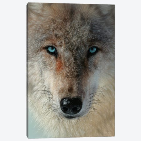 Inner Wolf Pack, Vertical Canvas Print #CBO134} by Collin Bogle Canvas Wall Art