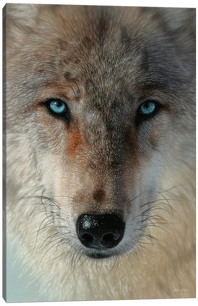 Inner Wolf Pack, Vertical Canvas Art Print - Collin Bogle