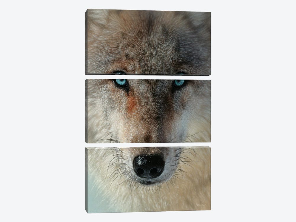 Inner Wolf Pack, Vertical by Collin Bogle 3-piece Canvas Art