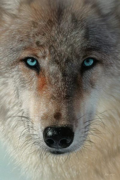 Wolves: Inner Wolf Pack, Vertical by Collin Bogle