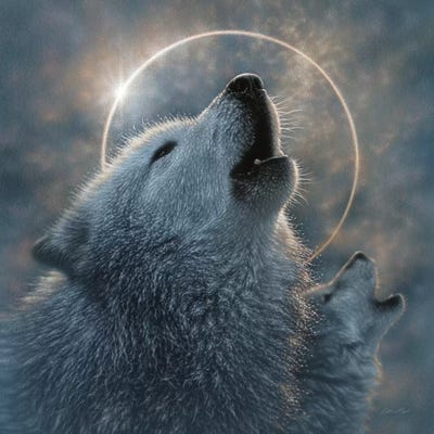 Wolf Eclipse, Square by Collin Bogle acrylic art print