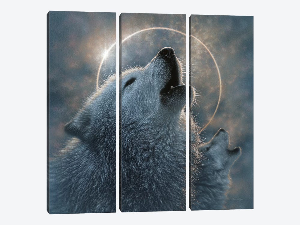 Wolf Eclipse, Square by Collin Bogle 3-piece Art Print