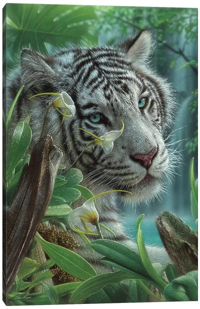 White Tiger of Eden - Vertical Canvas Art Print - Collin Bogle