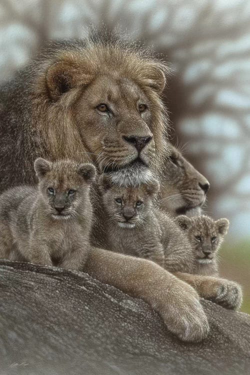 Lion - Family Man