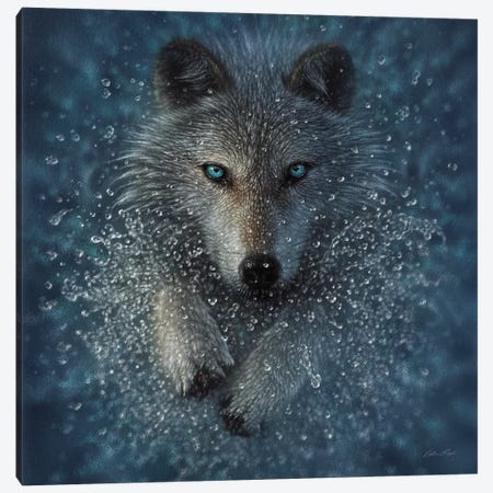 Running Wolf Splash - Square Canvas Print #CBO142} by Collin Bogle Canvas Art