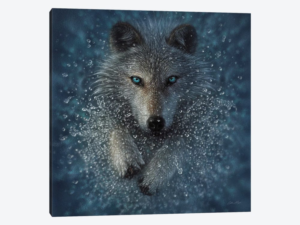 Running Wolf Splash - Square by Collin Bogle 1-piece Art Print