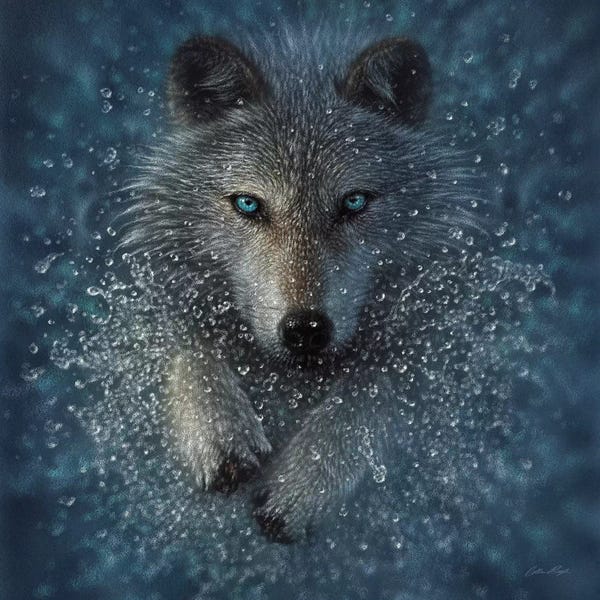 Collin Bogle: Running Wolf Splash - Square by Collin Bogle