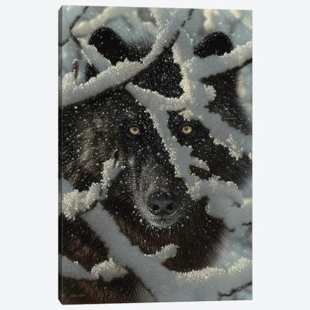 Winter's Black Wolf - Vertical Canvas Print #CBO152} by Collin Bogle Canvas Art Print