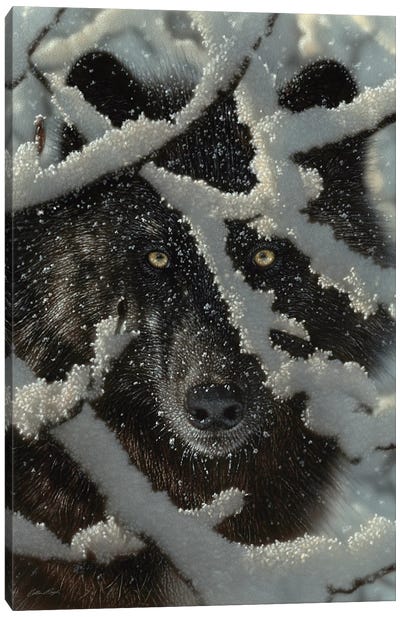 Winter's Black Wolf - Vertical Canvas Art Print - Snow Art