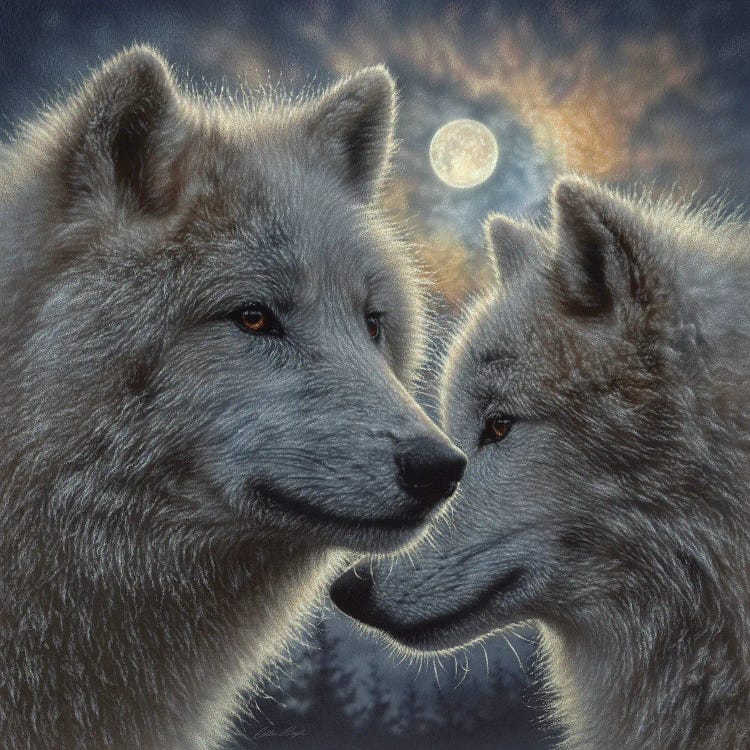 Moonlight Wolf Mates by Collin Bogle wall art