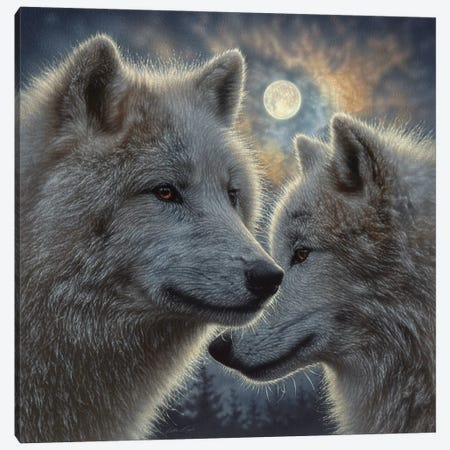 Moonlight Wolf Mates Canvas Print #CBO153} by Collin Bogle Art Print