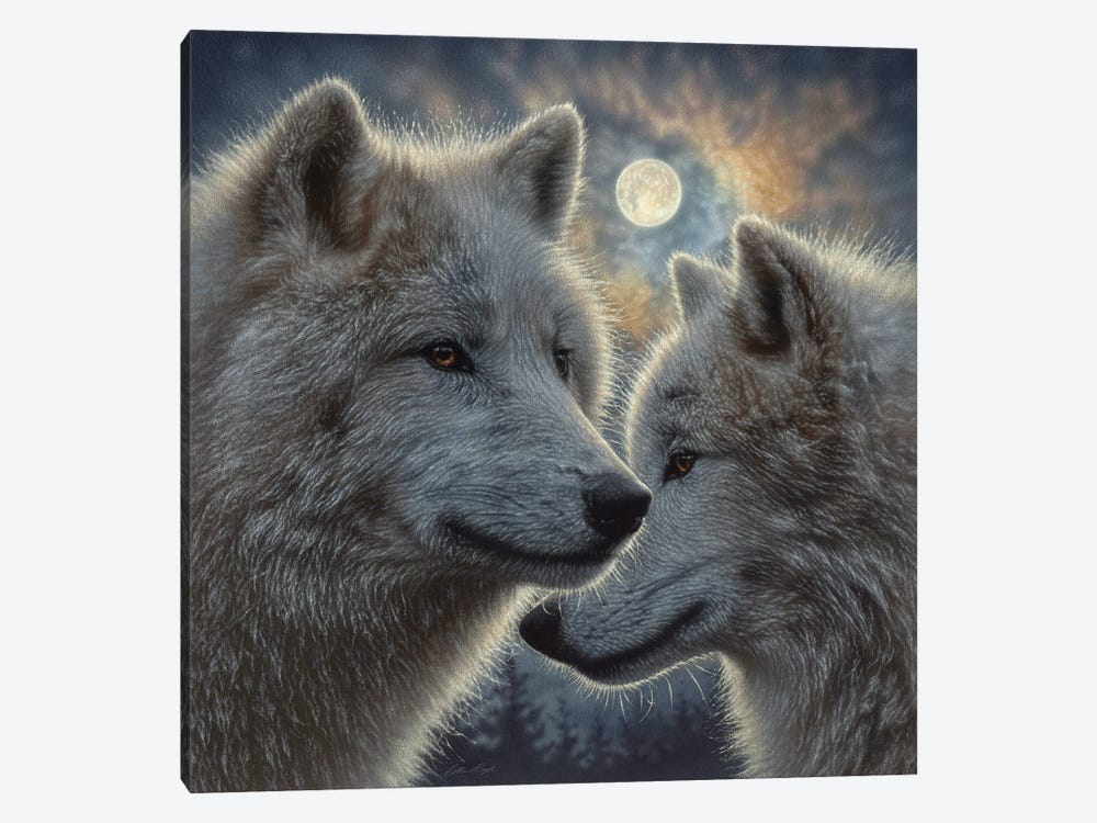 Moonlight Wolf Mates by Collin Bogle 1-piece Canvas Art Print