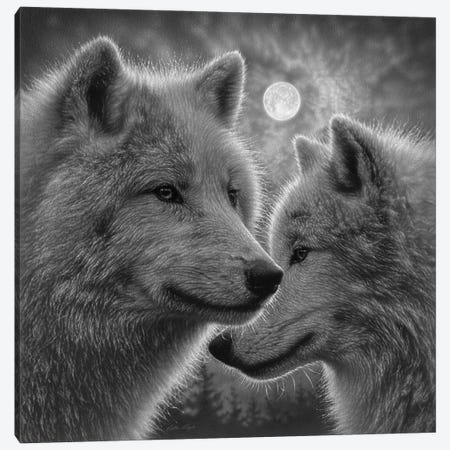 Moonlight Wolf Mates - Black & White Canvas Print #CBO154} by Collin Bogle Canvas Wall Art