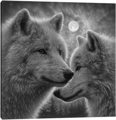 Moonlight Wolf Mates - Black & White Canvas Art Print - Collin Bogle
