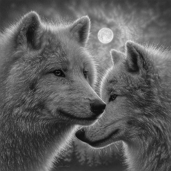 Wolves: Moonlight Wolf Mates - Black & White by Collin Bogle