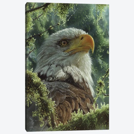 Bald Eagle - High And Mighty - Vertical Canvas Print #CBO157} by Collin Bogle Canvas Wall Art