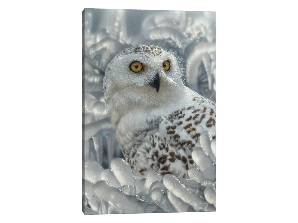 DIAMOND PAINTING KIT Snowy Owl by Night With White Frame Crystal