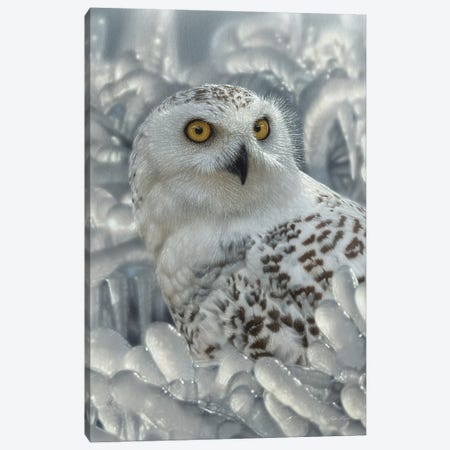 Snowy Owl Sanctuary - Vertical Canvas Print #CBO160} by Collin Bogle Canvas Artwork
