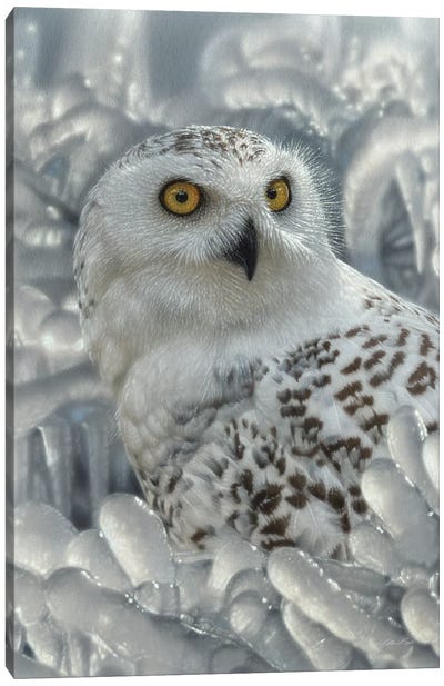 Snowy Owl Sanctuary - Vertical Canvas Art Print - Owl Art
