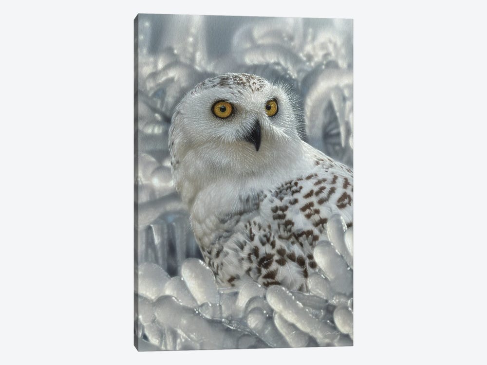 Snowy Owl Sanctuary - Vertical by Collin Bogle 1-piece Canvas Print