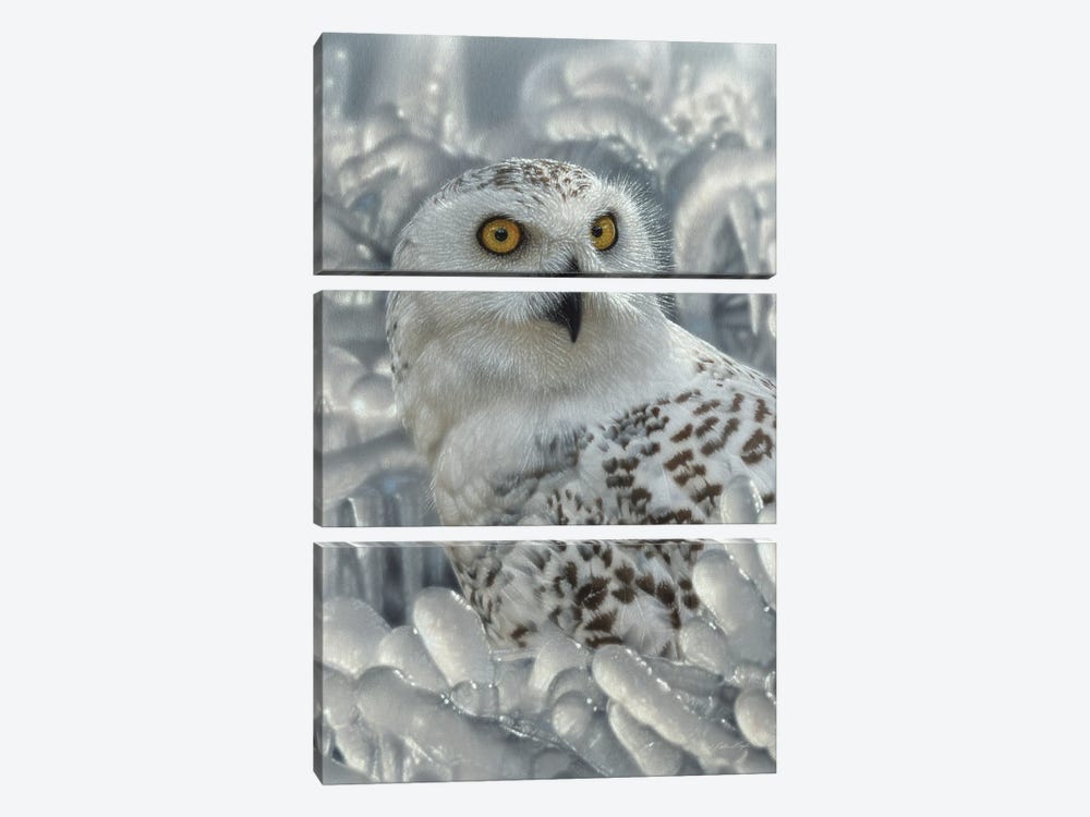 Snowy Owl Sanctuary - Vertical by Collin Bogle 3-piece Canvas Art Print