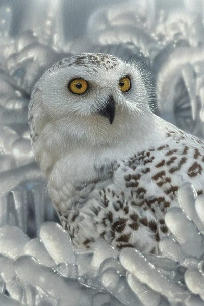 Collin Bogle: Snowy Owl Sanctuary - Vertical by Collin Bogle