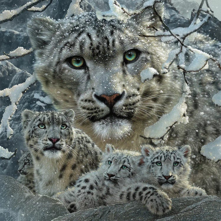Snow Leopard Collage by Collin Bogle wall art