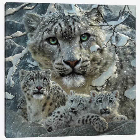 Snow Leopard Collage Canvas Print #CBO162} by Collin Bogle Canvas Wall Art