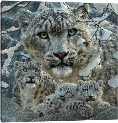 Snow Leopard Collage Canvas Art Print - Leopard Art