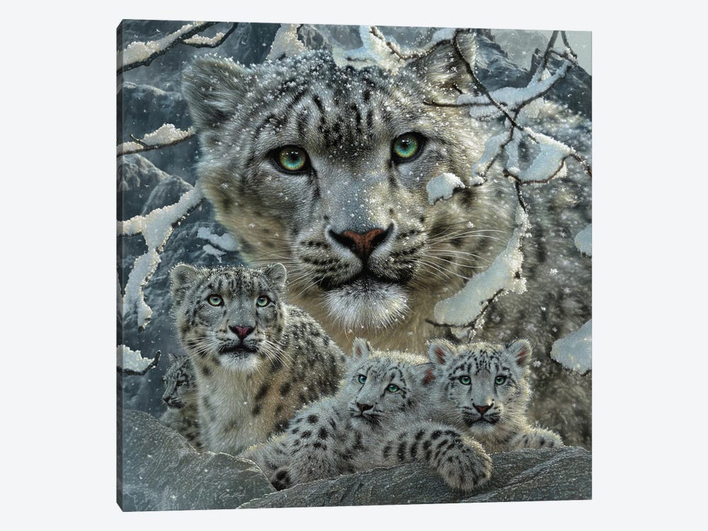 Snow Leopard Collage by Collin Bogle 1-piece Canvas Print