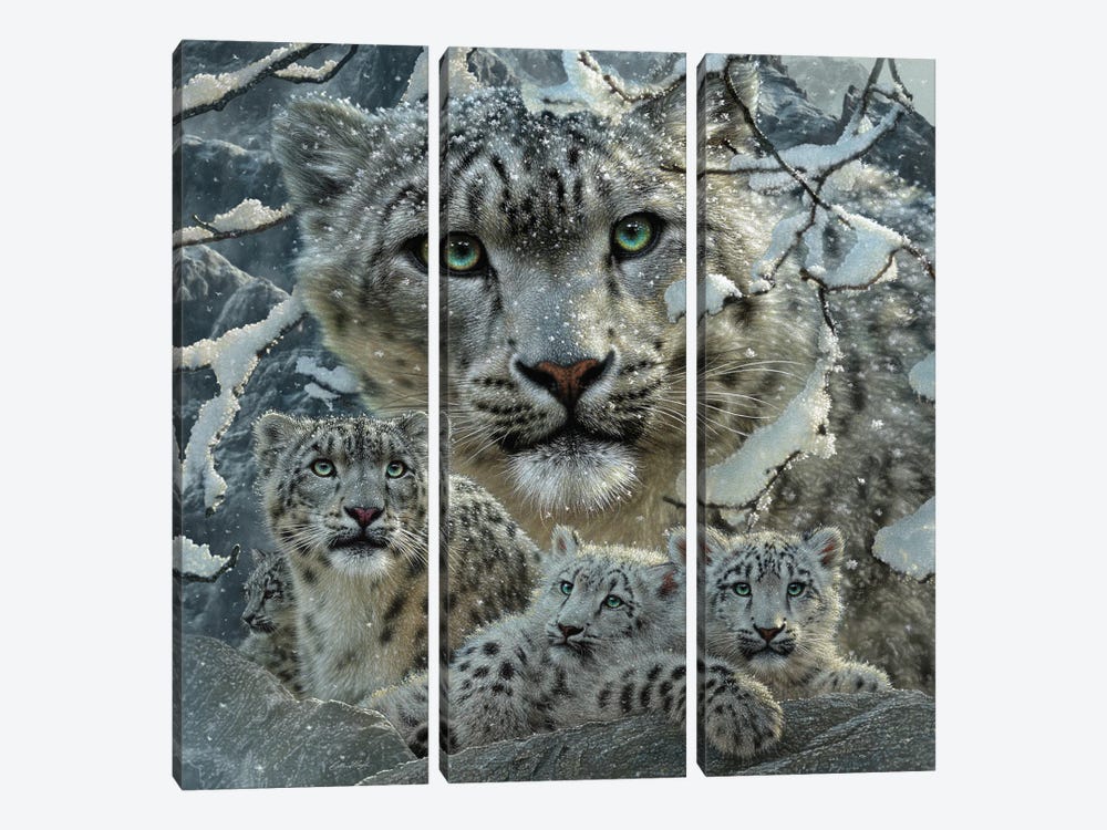 Snow Leopard Collage by Collin Bogle 3-piece Canvas Print