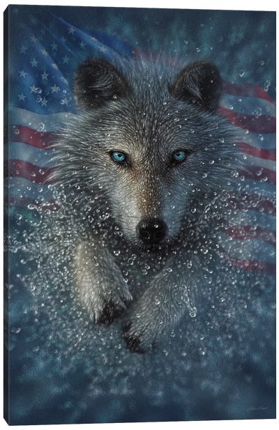 Wolf Splash America Canvas Art Print - American Flag Art