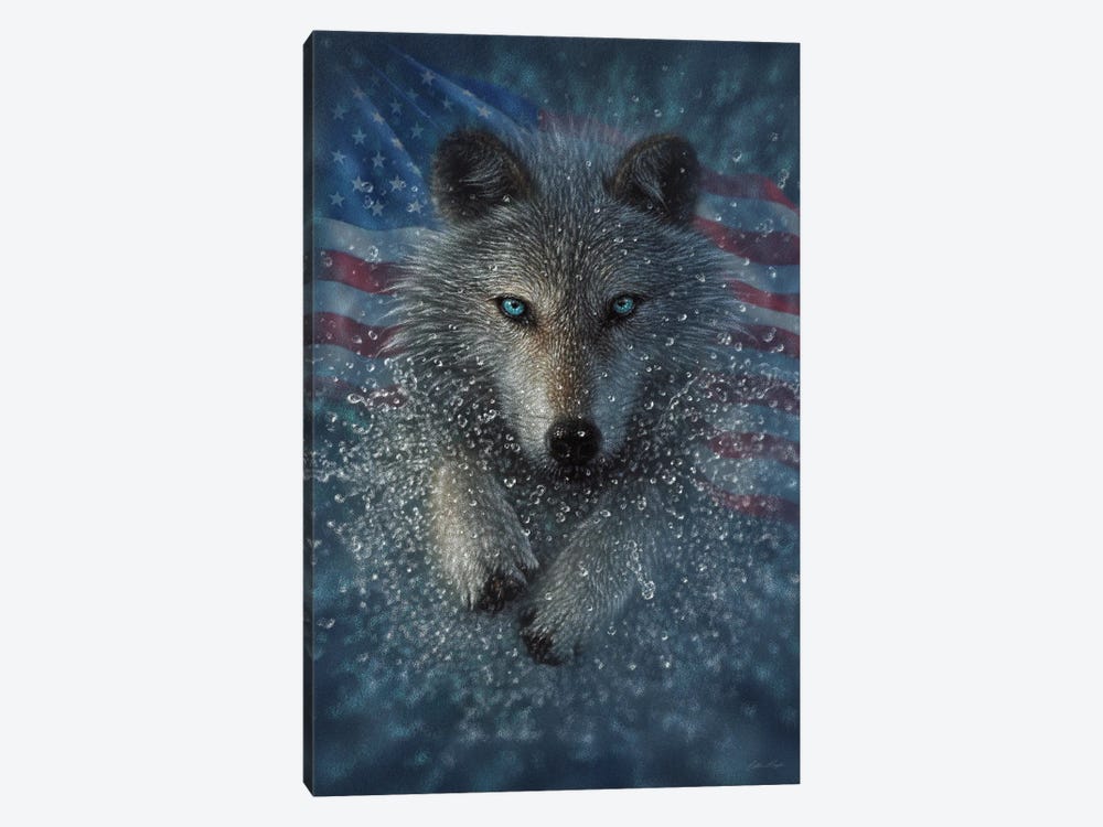 Wolf Splash America by Collin Bogle 1-piece Canvas Art
