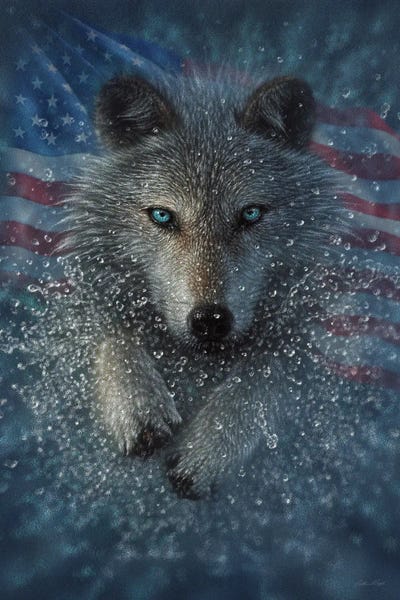 American Flags: Wolf Splash America by Collin Bogle