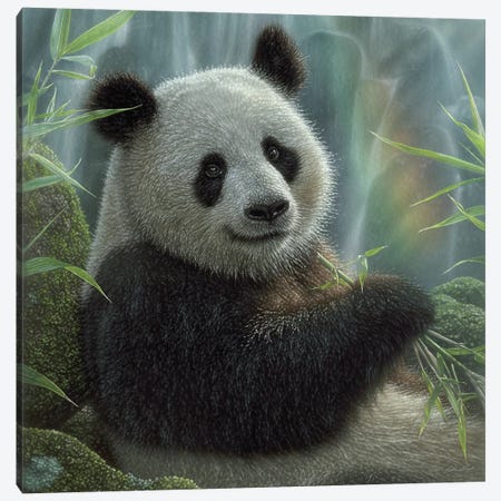 Panda Paradise - Square Canvas Print #CBO164} by Collin Bogle Canvas Print