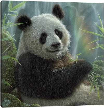 Panda Paradise - Square Canvas Art Print - Bamboo Art