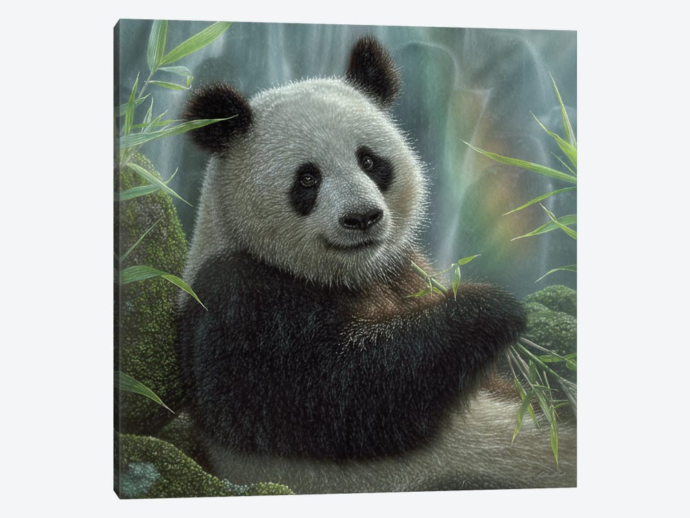 Panda Paradise - Square by Collin Bogle 1-piece Canvas Art Print