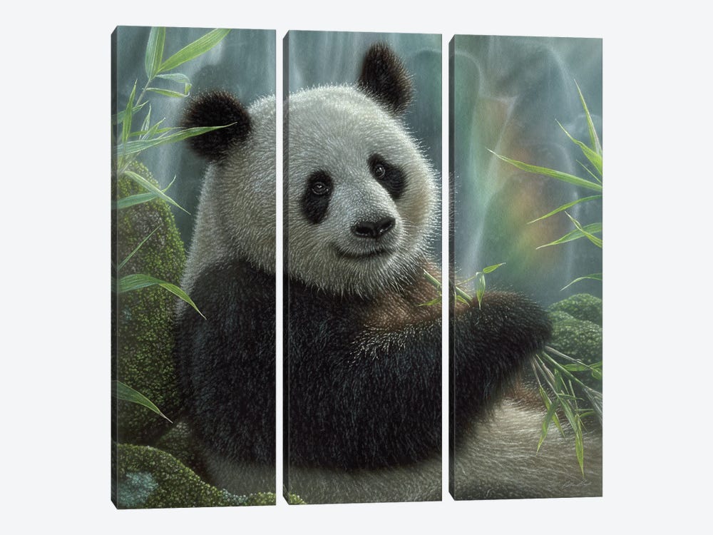 Panda Paradise - Square by Collin Bogle 3-piece Canvas Art Print