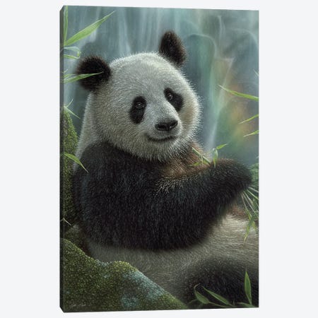 Panda Paradise - Vertical Canvas Print #CBO165} by Collin Bogle Art Print